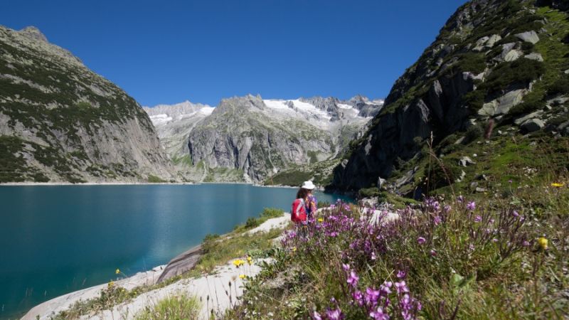 5 Experiences Not To Miss in Switzerland