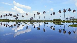 India's Longest Lake - Vembanad Kayal in Kerala