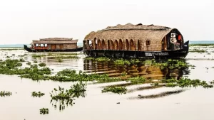 An Exploration of the Kerala Backwaters: From Lagoons to Lakes