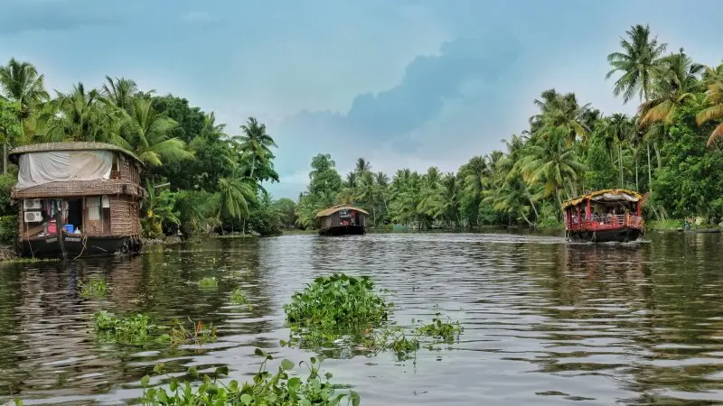 Kerala Backwaters di India