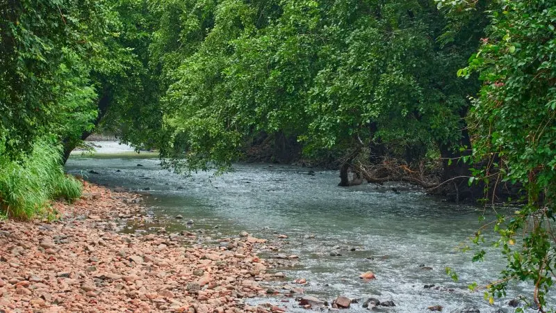 Sanjay Gandhi National Park